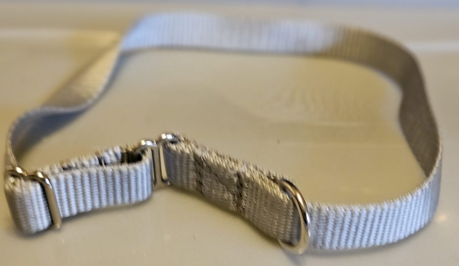 Collar – Klondike 3/4″ Silver Medium CLEARANCE