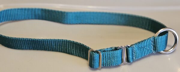 Collar – Klondike 3/4″ Green small CLEARANCE