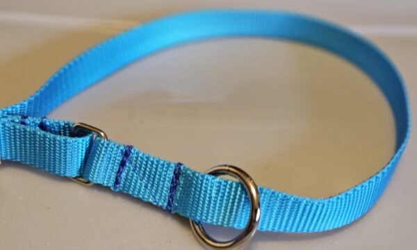Collar – Klondike 3/4″ Turquoise Large CLEARANCE