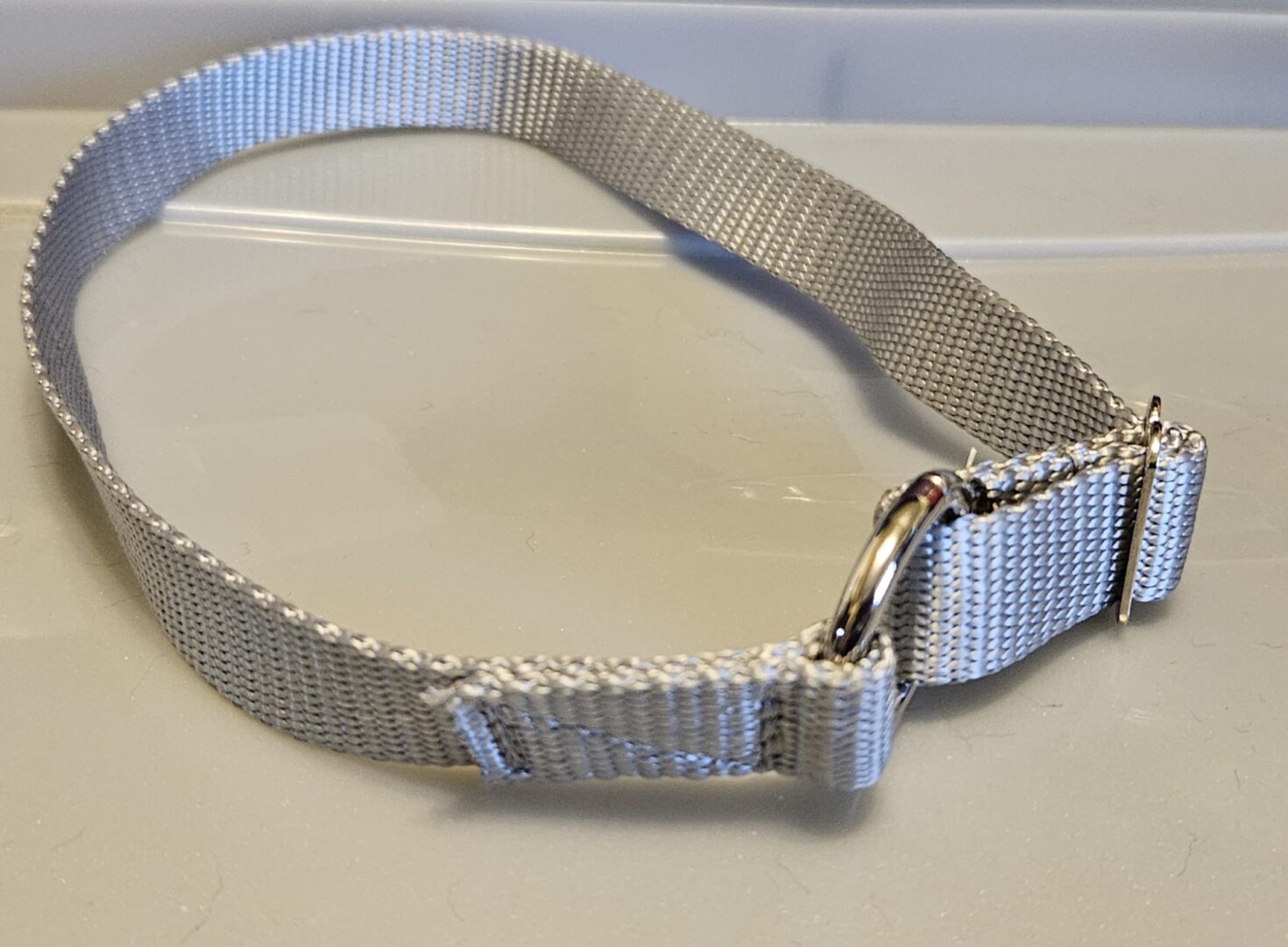 Collar – Sierra 3/4″ Silver Medium CLEARANCE