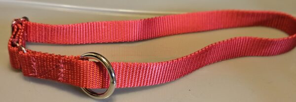 Collar – Klondike 3/4″ Bright Red Large CLEARANCE