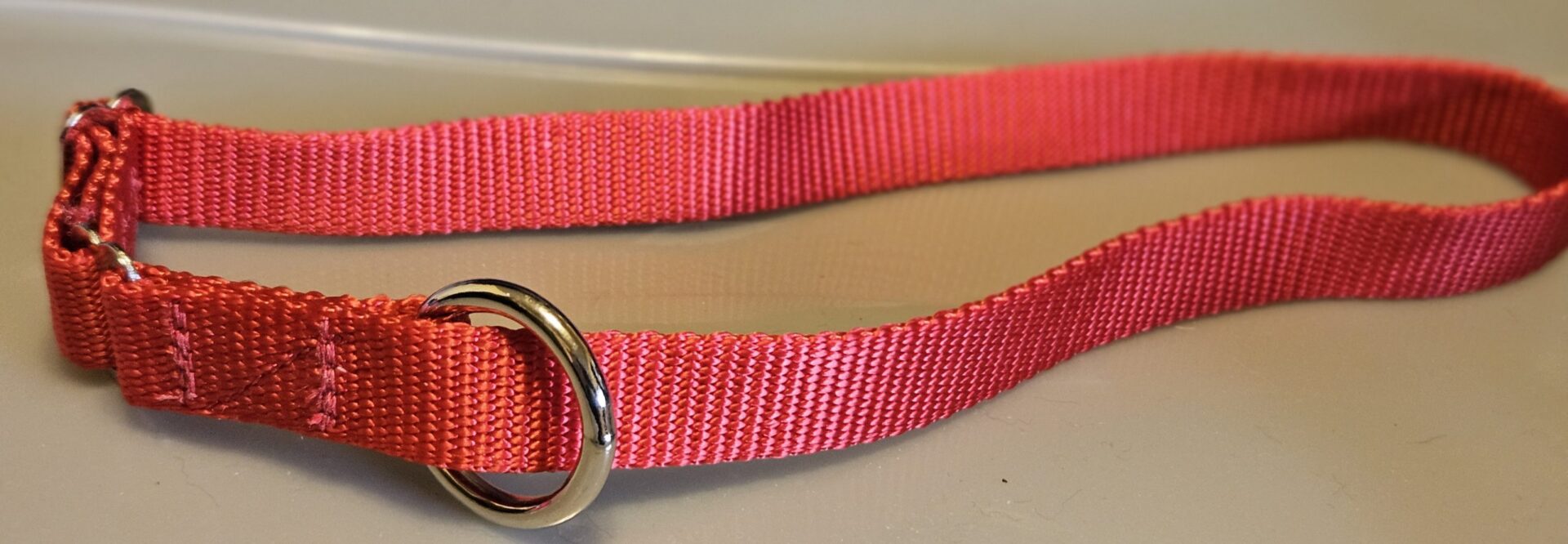 Collar – Klondike 3/4″ Bright Red Medium CLEARANCE