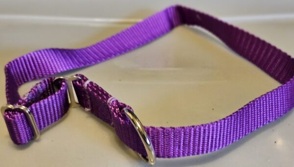 Collar – Klondike 3/4″ Purple Large CLEARANCE
