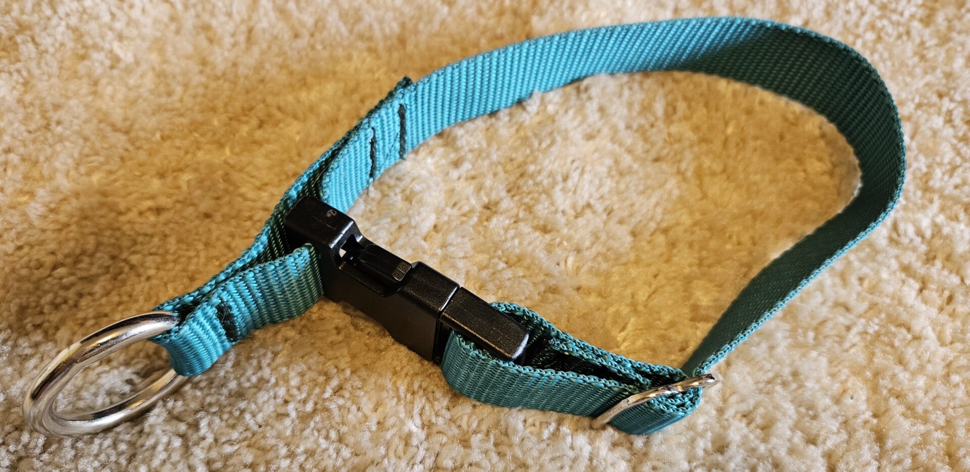 Collar – Alaskan 1″ Teal QUICK RELEASE Medium CLEARANCE