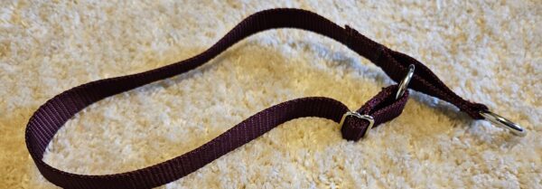 Collar – Alaskan 3/4″ Burgundy Large CLEARANCE