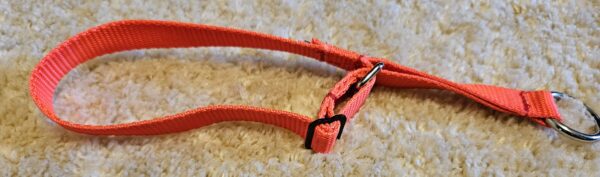 Collar – Alaskan 3/4″ Fl Orange Medium CLEARANCE