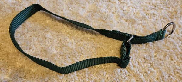 Collar – Alaskan 3/4″ Green Large CLEARANCE