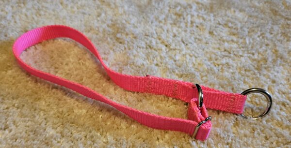 Collar – Alaskan 3/4″ Pink Large CLEARANCE