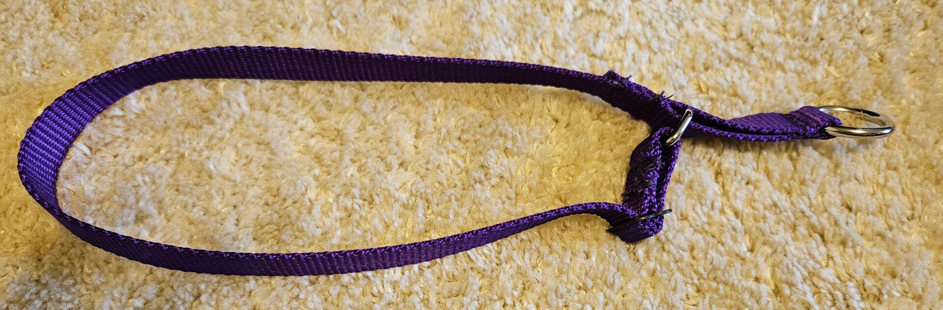Collar – Alaskan 3/4″ Purple Large CLEARANCE