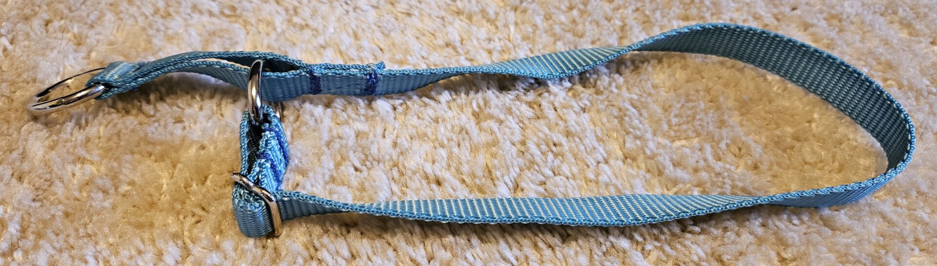 Collar – Alaskan 3/4″ Turquoise Large CLEARANCE
